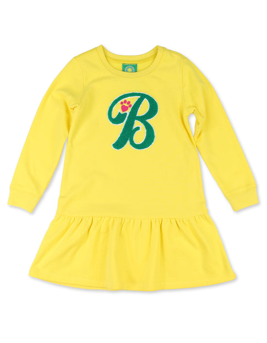 Sweatshirt Long Sleeve Dress